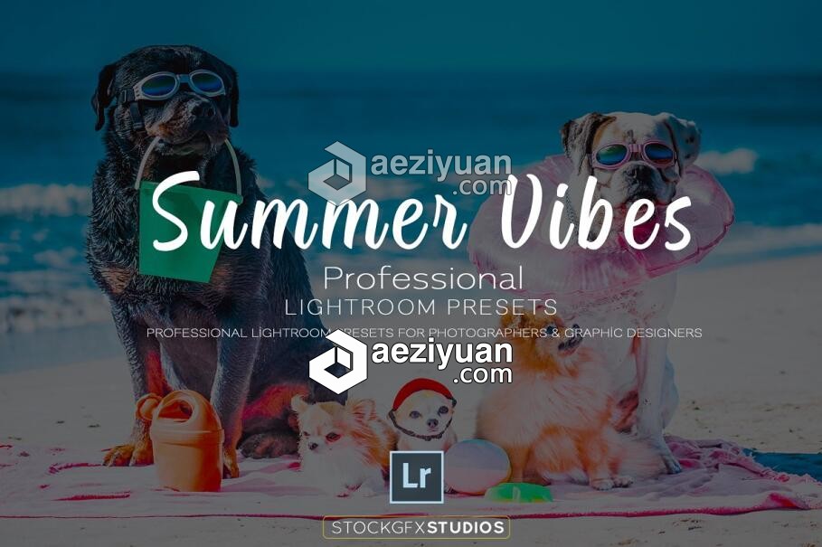 夏季风景人像Lightroom预设 Summer Vibes Pro Lightroom Template可以采用IP方法调用,一台机器挂掉,CURLOPT_URL,CURLOPT_HEADER,CURLOPT_POST - AE资源网 www.aeziyuan.com