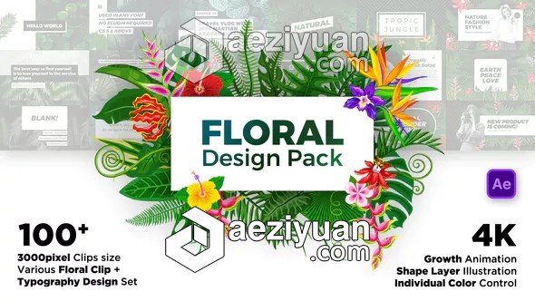 100个绿色花草植物叶子花朵藤蔓视频设计包装AE模板 Videohive Floral Design Pack绿色,花朵,design - AE资源网 www.aeziyuan.com