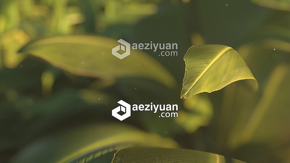 植物树叶C4D Octane渲染合成教程 Texturing and Rendering a Plant Scene Tutorial植物,树叶,渲染,合成,教程 - AE资源网 www.aeziyuan.com