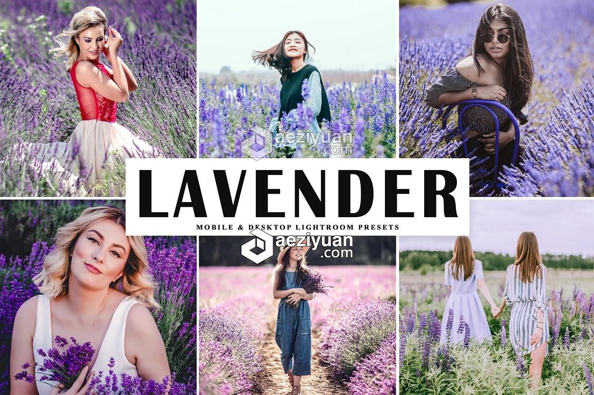 薰衣草旅拍人像LR预设/移动APP预设Lavender Lightroom Presets薰衣草,人像,预设,移动,lavender - AE资源网 www.aeziyuan.com