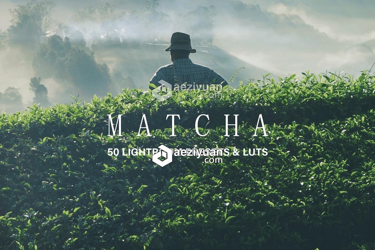 抹茶绿色调LR预设+APP预设+LUT预设 Matcha Lightroom Presets and LUTs抹茶绿,色调,预设,matcha,lightroom - AE资源网 www.aeziyuan.com