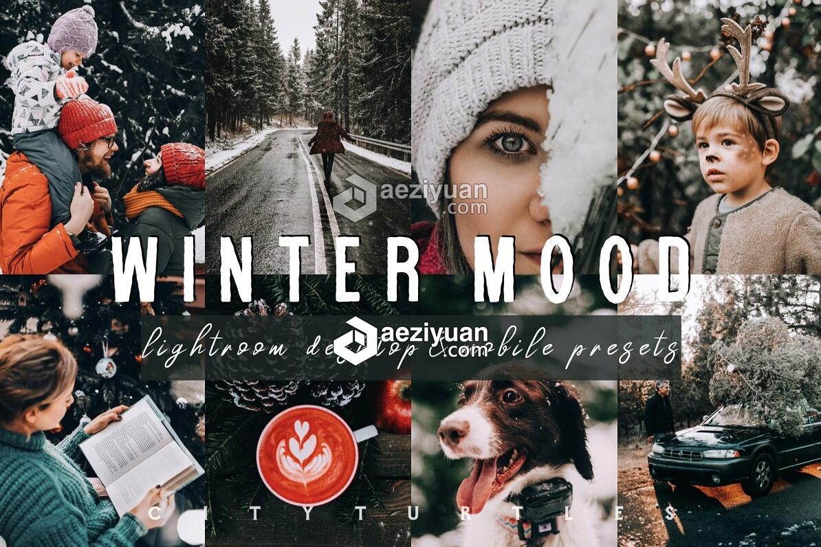 冬季假期人像LR预设+移动APP预设 Moody WINTER MOOD Lightroom Presets冬季,假期,人像,预设,移动 - AE资源网 www.aeziyuan.com