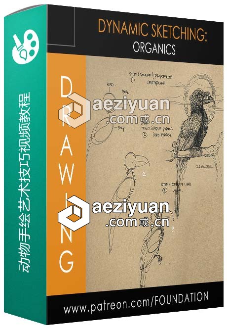 动物手绘艺术技巧视频教程Foundation Patreon Term 10 Dynamic Sketching Organics动物,艺术技巧,foundation,dynamic,sketching - AE资源网 www.aeziyuan.com