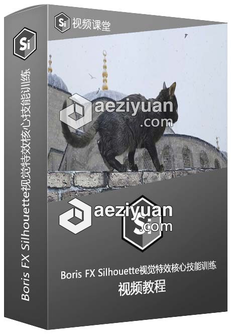 Boris FX Silhouette视觉特效核心技能训练视频教程silhouette,视觉特效,核心,技能,训练 - AE资源网 www.aeziyuan.com