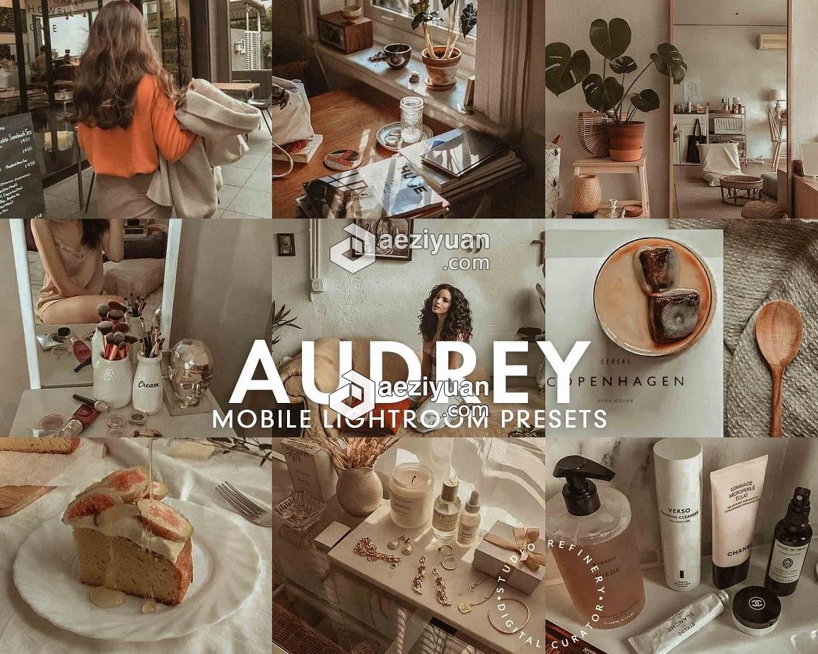 莫兰迪灰色调LR预设/APP调色滤镜 5 AUDREY Mobile Lightroom Presets - AE资源网 www.aeziyuan.com