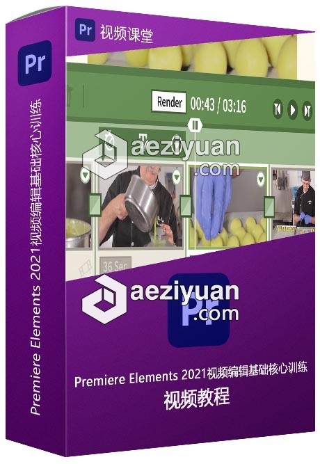 Premiere Elements 2021视频编辑基础核心训练视频教程 - AE资源网 www.aeziyuan.com