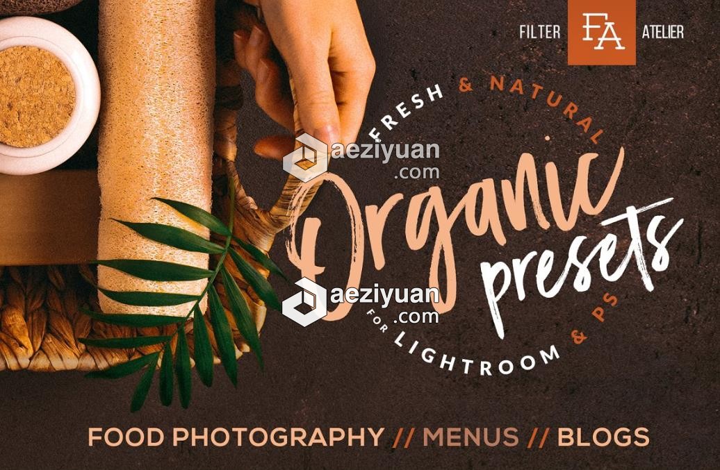 有机食品美食摄影后期PS/Lightroom预设 Organic Food Presets - AE资源网 www.aeziyuan.com