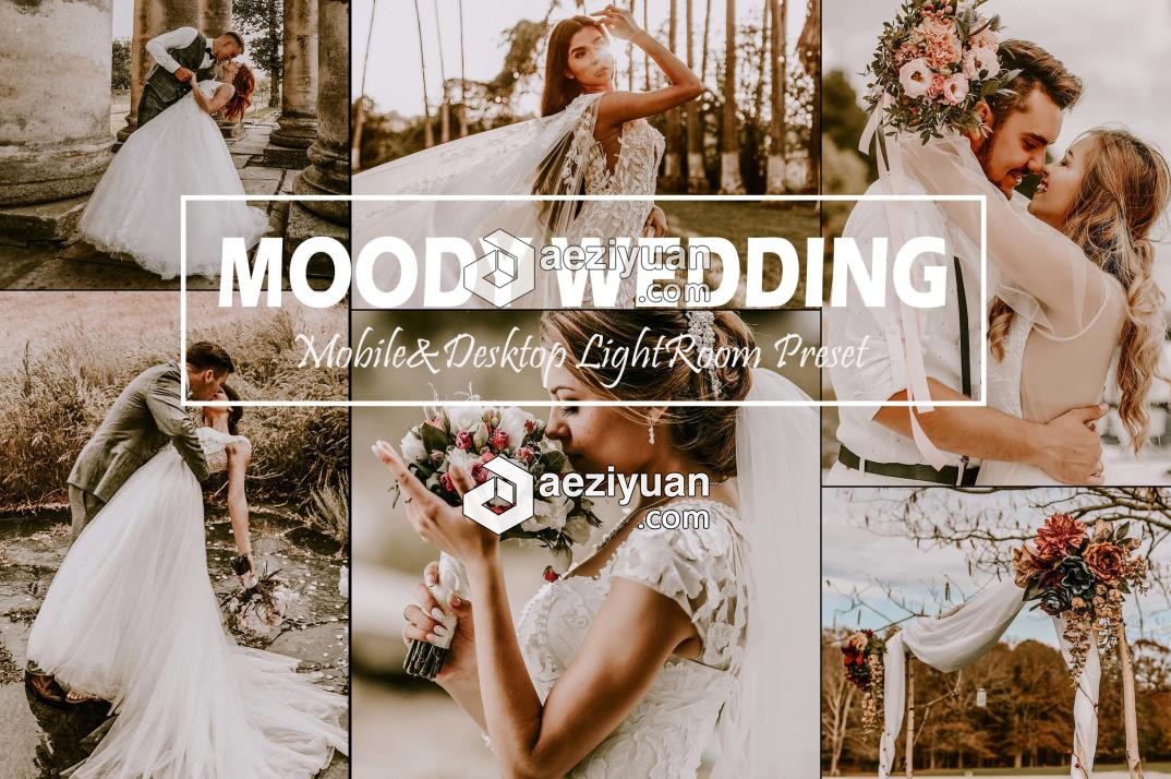 旅拍婚礼婚纱情绪复古胶片LR预设/APP预设 Moody Wedding Lightroom Presets婚礼,婚纱,情绪,复古,胶片 - AE资源网 www.aeziyuan.com