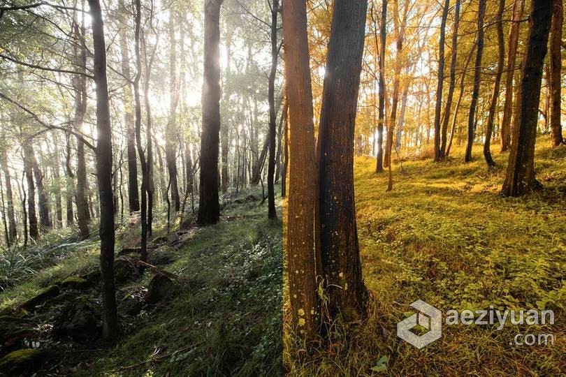 秋季色调旅拍风光人像LR预设+移动APP预设 4 Autumn Lightroom Presets秋季,色调,风光,人像,预设 - AE资源网 www.aeziyuan.com