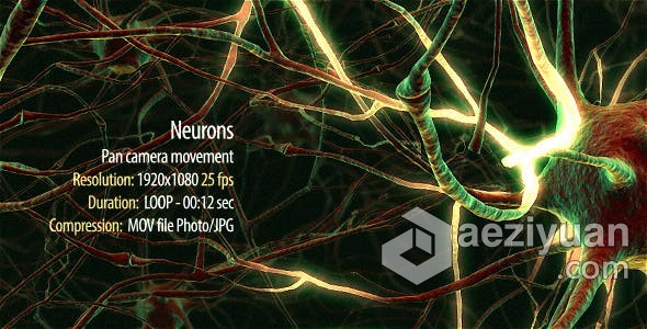 神经元网络树突大脑思维生物医学教育解释性视频素材 videohive Neurons生物医学,医学教育,教育,解释 - AE资源网 www.aeziyuan.com