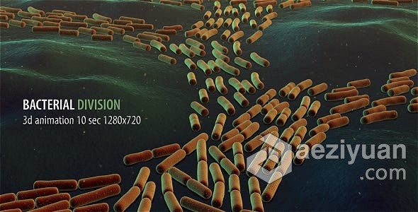 细菌分裂动画生物学医疗医学分子结构病毒研究元素视频素材 Bacterial Division细菌,分裂,动画,生物学,医疗 - AE资源网 www.aeziyuan.com