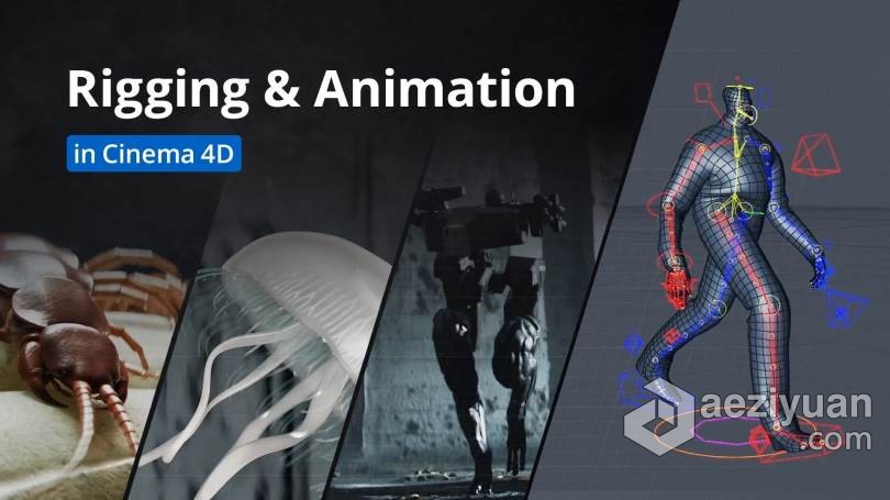 Cinema 4D影视级角色骨骼动画大师班视频教程 Rigging and Animation in Cinema 4Dcinema,影视,角色,骨骼动画,animation - AE资源网 www.aeziyuan.com