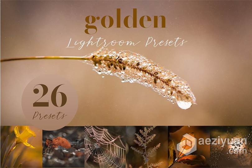 26个秋季微距风光金色调Lightroom预设 Golden Lightroom Presets秋季,风光,色调,lightroom,预设 - AE资源网 www.aeziyuan.com