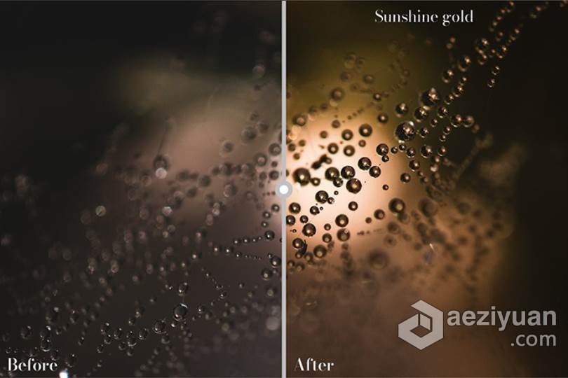 26个秋季微距风光金色调Lightroom预设 Golden Lightroom Presets秋季,风光,色调,lightroom,预设 - AE资源网 www.aeziyuan.com