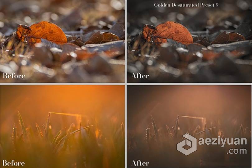 26个秋季微距风光金色调Lightroom预设 Golden Lightroom Presets秋季,风光,色调,lightroom,预设 - AE资源网 www.aeziyuan.com