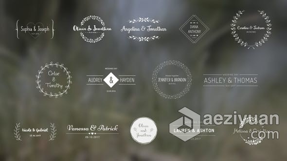 典雅复古时尚婚礼标题徽章字幕动画 AE模板 AE工程文件 Wedding Titles典雅,复古时尚,时尚婚礼,标题,徽章 - AE资源网 www.aeziyuan.com