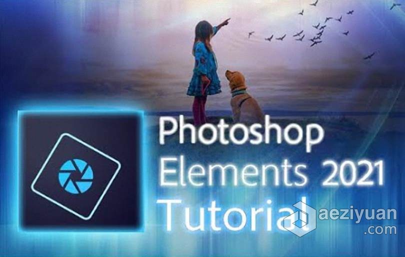 轻松掌握Photoshop Elements 2021培训教程-中文字幕 Photoshop Elements 2021 Made Easy Training轻松,掌握,photoshop,elements,培训 - AE资源网 www.aeziyuan.com