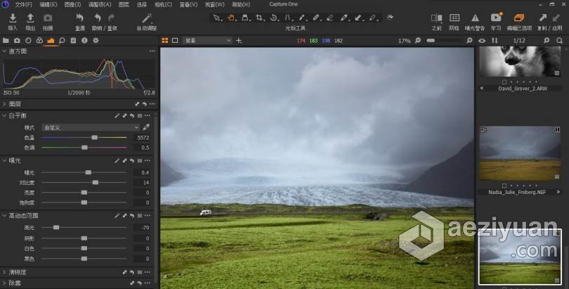 Capture One 21 正式版(RAW图像编辑软件)|飞思Capture One 21 Pro V14.1.1中文版 WINX64 - AE资源网 www.aeziyuan.com
