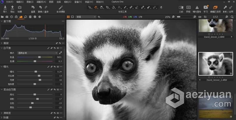 Capture One 21 正式版(RAW图像编辑软件)|飞思Capture One 21 Pro V14.1.1中文版 WINX64 - AE资源网 www.aeziyuan.com