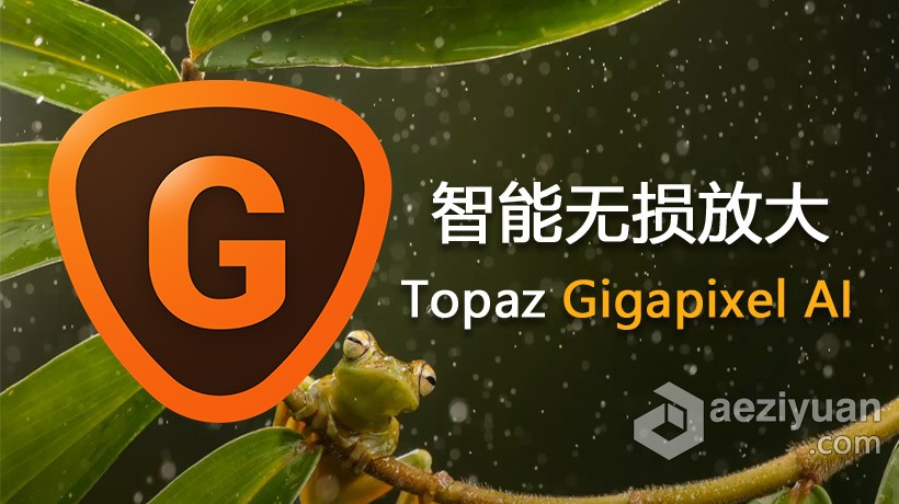 AI人工智能无损放大插件Topaz Gigapixel AI 5.3.1汉化版 Topaz Gigapixel AI中文版 支持PS 2021人工智能,无损,放大,插件,汉化 - AE资源网 www.aeziyuan.com