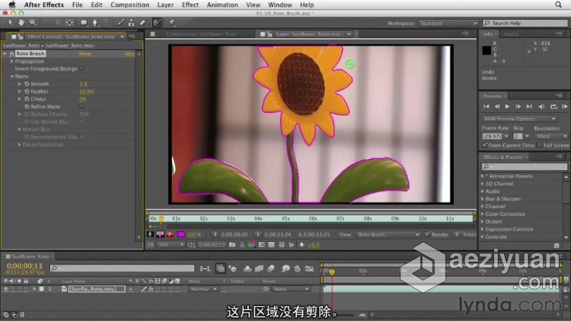 AE教程 After Effects CS6全面学习教程 中文字幕全面,学习,教程,after,effects - AE资源网 www.aeziyuan.com