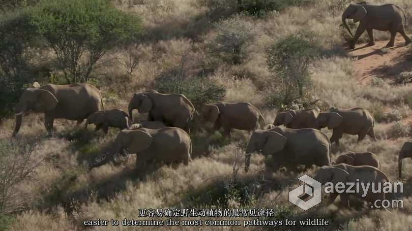 Chase Teron的终极野生动物纪实摄影及后期套装教程附RAW素材-中英字幕终极,野生动物,动物,纪实摄影,后期 - AE资源网 www.aeziyuan.com