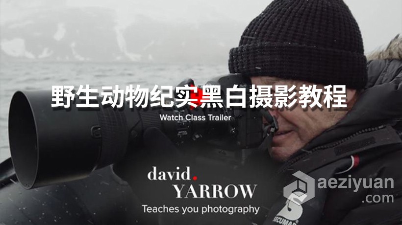 摄影大师大卫·雅罗(David Yarrow)野生动物纪实黑白摄影教程-中英字幕 - AE资源网 www.aeziyuan.com