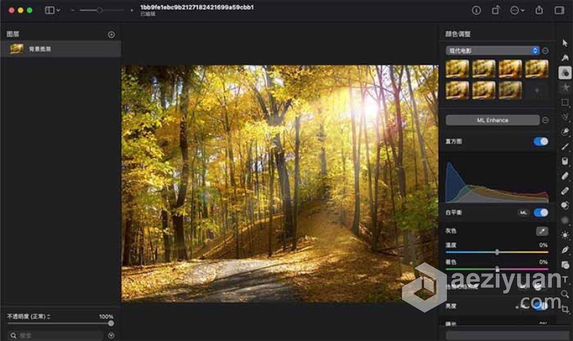 Pixelmator Pro for Mac v2.0.5 强大的图像编辑器 中文破解版强大,编辑器,中文,破解版 - AE资源网 www.aeziyuan.com