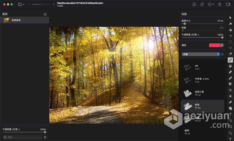 Pixelmator Pro for Mac v2.0.5 强大的图像编辑器 中文破解版强大,编辑器,中文,破解版 - AE资源网 www.aeziyuan.com