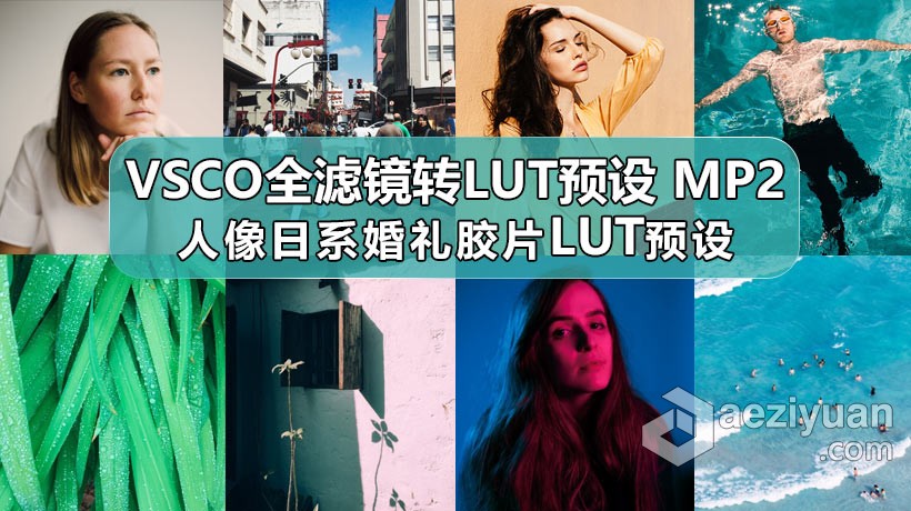 VSCO全滤镜转LUTs预设3D LUTs Mobile MP2人像日系婚礼胶片LUTs预设滤镜,预设,mobile,人像,日系 - AE资源网 www.aeziyuan.com