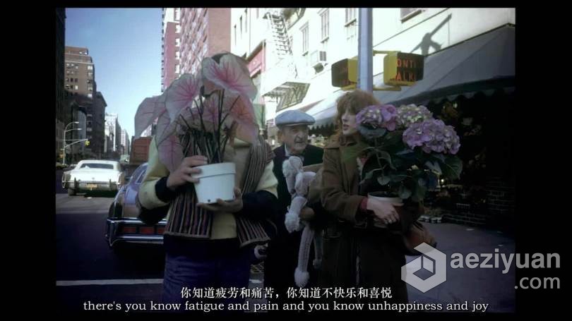 摄影大师–乔尔·梅耶罗维兹(Joel Meyerowitz) Masters of Photograph-中英字幕 - AE资源网 www.aeziyuan.com