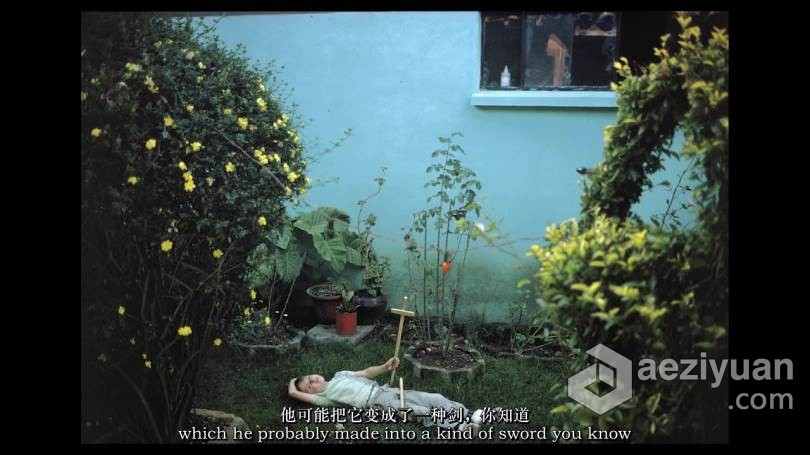 摄影大师–乔尔·梅耶罗维兹(Joel Meyerowitz) Masters of Photograph-中英字幕 - AE资源网 www.aeziyuan.com