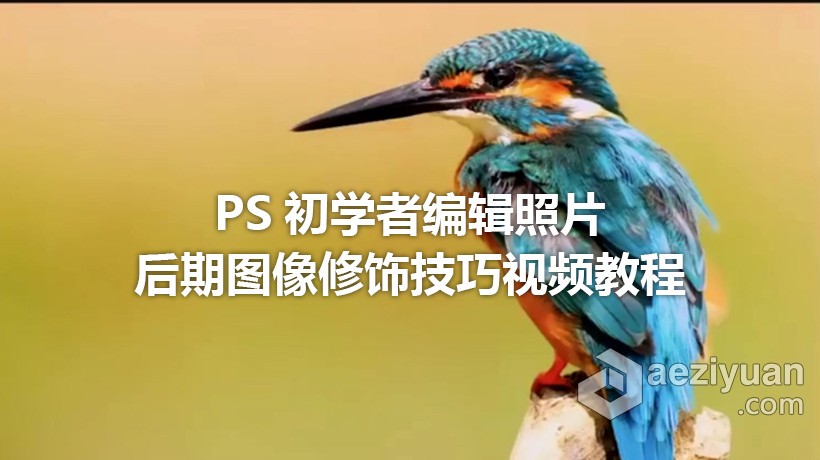 PS教程 PS初学者编辑照片后期图像修饰技巧视频教程编辑,照片后期,图像,修饰,技巧 - AE资源网 www.aeziyuan.com