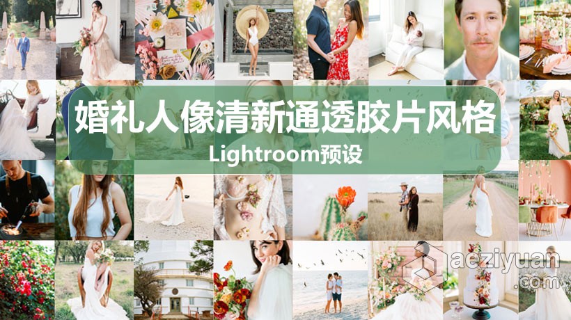 LR预设 科迪和奥斯汀婚礼人像清新通透胶片风格LR预设 Goodlight Presets pack3 Color预设,科迪,奥斯汀,清新,胶片 - AE资源网 www.aeziyuan.com