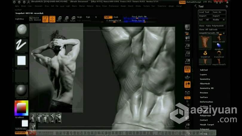 ZB教程 ZBrush人体雕刻实例视频教程 中文字幕教程,人体,雕刻,实例,视频教程 - AE资源网 www.aeziyuan.com