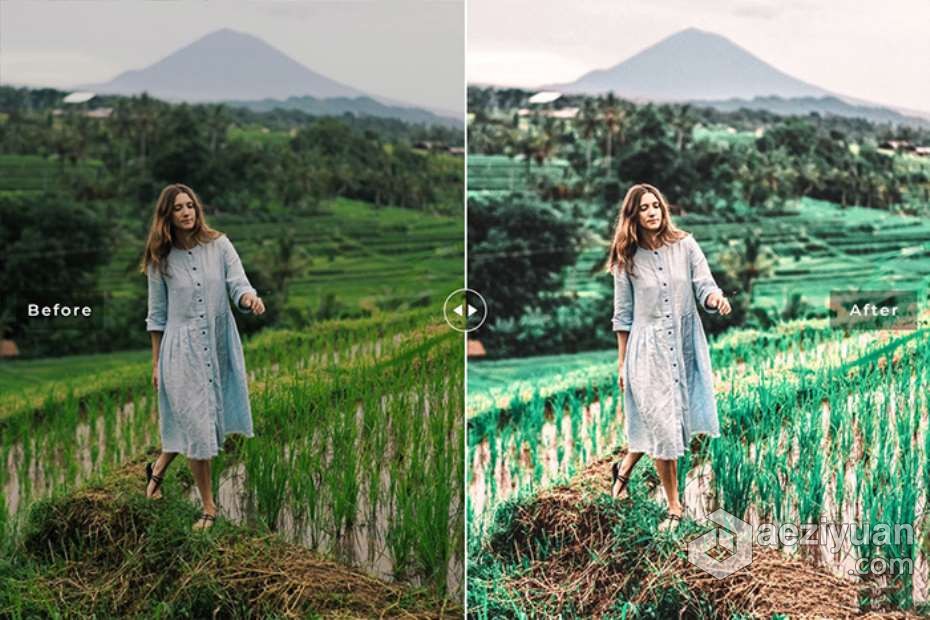 巴厘岛乌布旅拍人文风光Lightroom预设与移动版LR预设 Ubud Lightroom Presets巴厘岛,乌布,人文,lightroom,预设 - AE资源网 www.aeziyuan.com