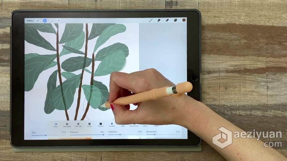 绘画教程 Procreate再iPad中创建平面自然植物插图教程绘画教程,ipad,平面,自然,植物 - AE资源网 www.aeziyuan.com