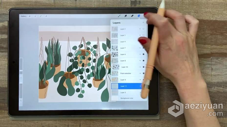 绘画教程 Procreate再iPad中创建平面自然植物插图教程绘画教程,ipad,平面,自然,植物 - AE资源网 www.aeziyuan.com