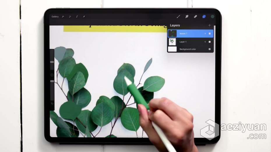 绘画教程 Procreate绘画平面风格水粉植物数字水粉画教程绘画教程,绘画,平面,风格,水粉 - AE资源网 www.aeziyuan.com