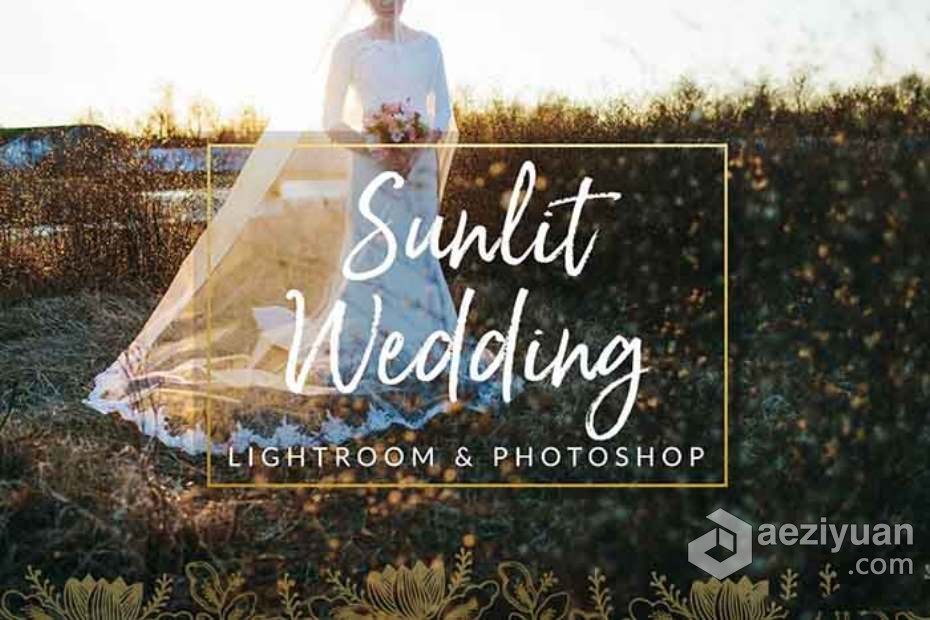 阳光下的婚礼Lightroom预设与Photoshop (xmp)预设 Sunlit Wedding Presets - AE资源网 www.aeziyuan.com