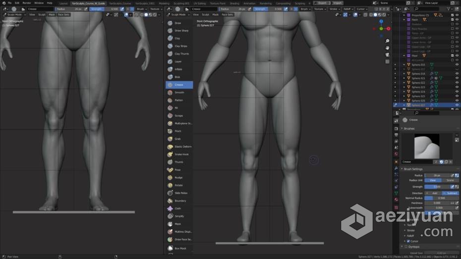 Blender教程 Blender男性人体解剖形态全身造型雕刻技术教程blender,教程,男性,人体解剖,解剖 - AE资源网 www.aeziyuan.com