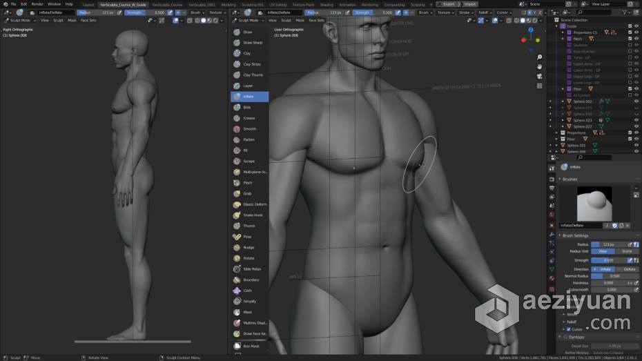 Blender教程 Blender男性人体解剖形态全身造型雕刻技术教程blender,教程,男性,人体解剖,解剖 - AE资源网 www.aeziyuan.com