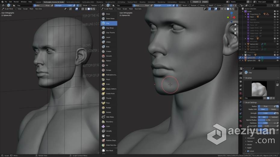 Blender教程 Blender男性人体解剖形态全身造型雕刻技术教程blender,教程,男性,人体解剖,解剖 - AE资源网 www.aeziyuan.com