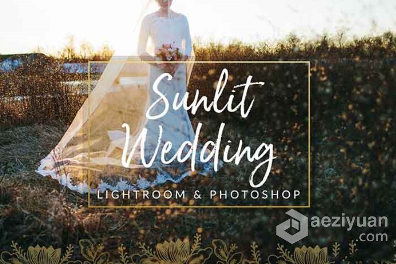 阳光下的婚礼Lightroom预设与Photoshop (xmp)预设 Sunlit Wedding Presets - AE资源网 www.aeziyuan.com