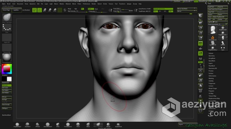 Zbrush教程 Zbrush超精细角色面部雕刻大师级视频教程 - AE资源网 www.aeziyuan.com
