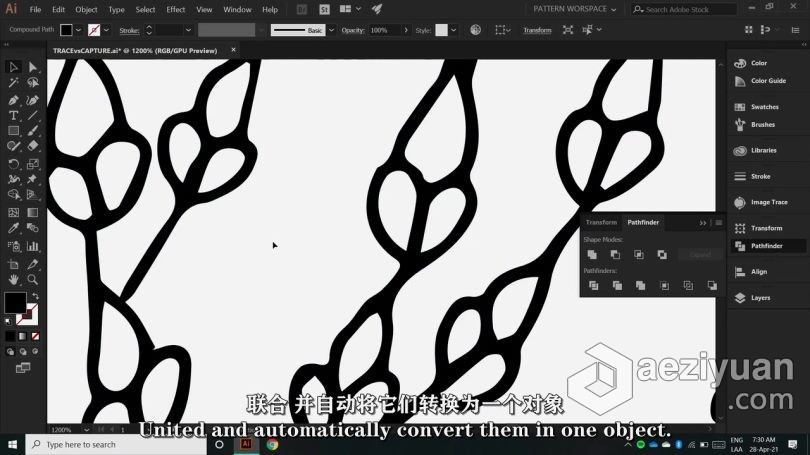 Ai教程 Illustrator初学者花卉植物重复图案平面插图设计视频教程 中文字幕 - AE资源网 www.aeziyuan.com