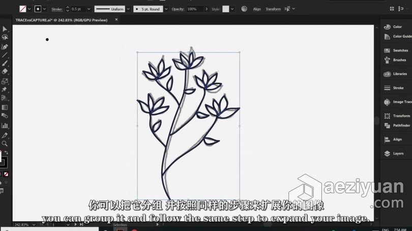 Ai教程 Illustrator初学者花卉植物重复图案平面插图设计视频教程 中文字幕 - AE资源网 www.aeziyuan.com