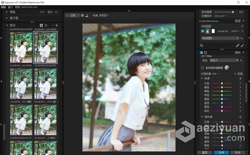 PS/LR顶级摄影图像编辑器胶片滤镜插件Exposure X7 WIN中文版 Exposure X7 7.0.2.119 WIN汉化版下载 支持PS2022 - AE资源网 www.aeziyuan.com