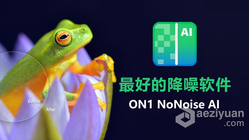 ON1 NoNoise AI 2022 MAC中文版 最好的降噪软件 ON1 NoNoise AI 2022 v16.0.1.11291 MAC中文版下载 支持 - AE资源网 www.aeziyuan.com