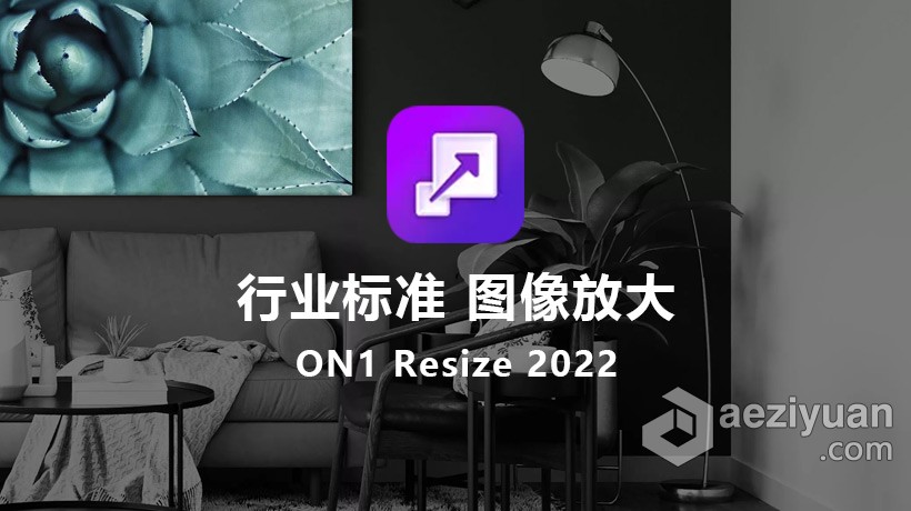 ON1 Resize 2022 MAC中文版 行业标准图像放大工具 ON1 Resize 2022 v16.0.1.11291 macOS中文版下载 支持原生M - AE资源网 www.aeziyuan.com